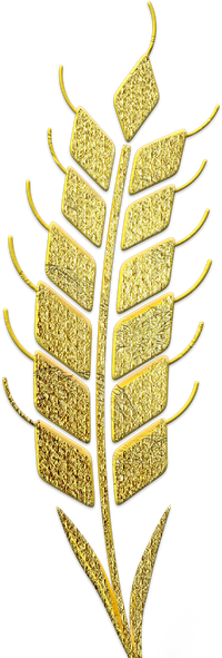 RiceGuard Sentinel logo