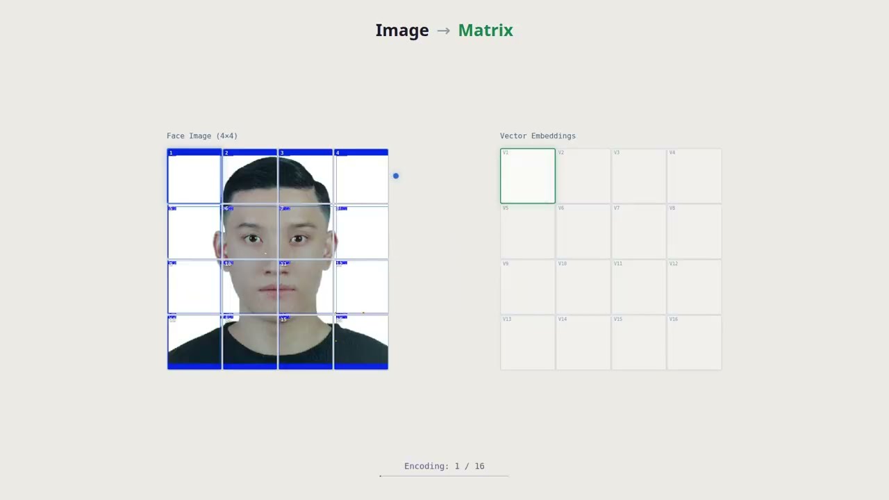 Image Arrays of Matrices